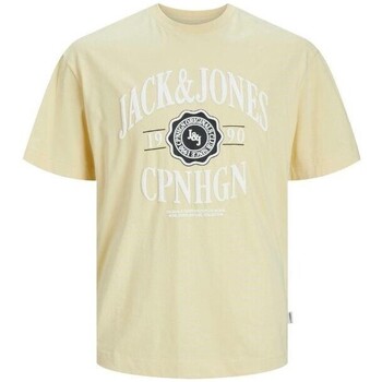 Textil Homem T-Shirt mangas curtas Jack & Jones 12251899 JORLUCCA Amarelo