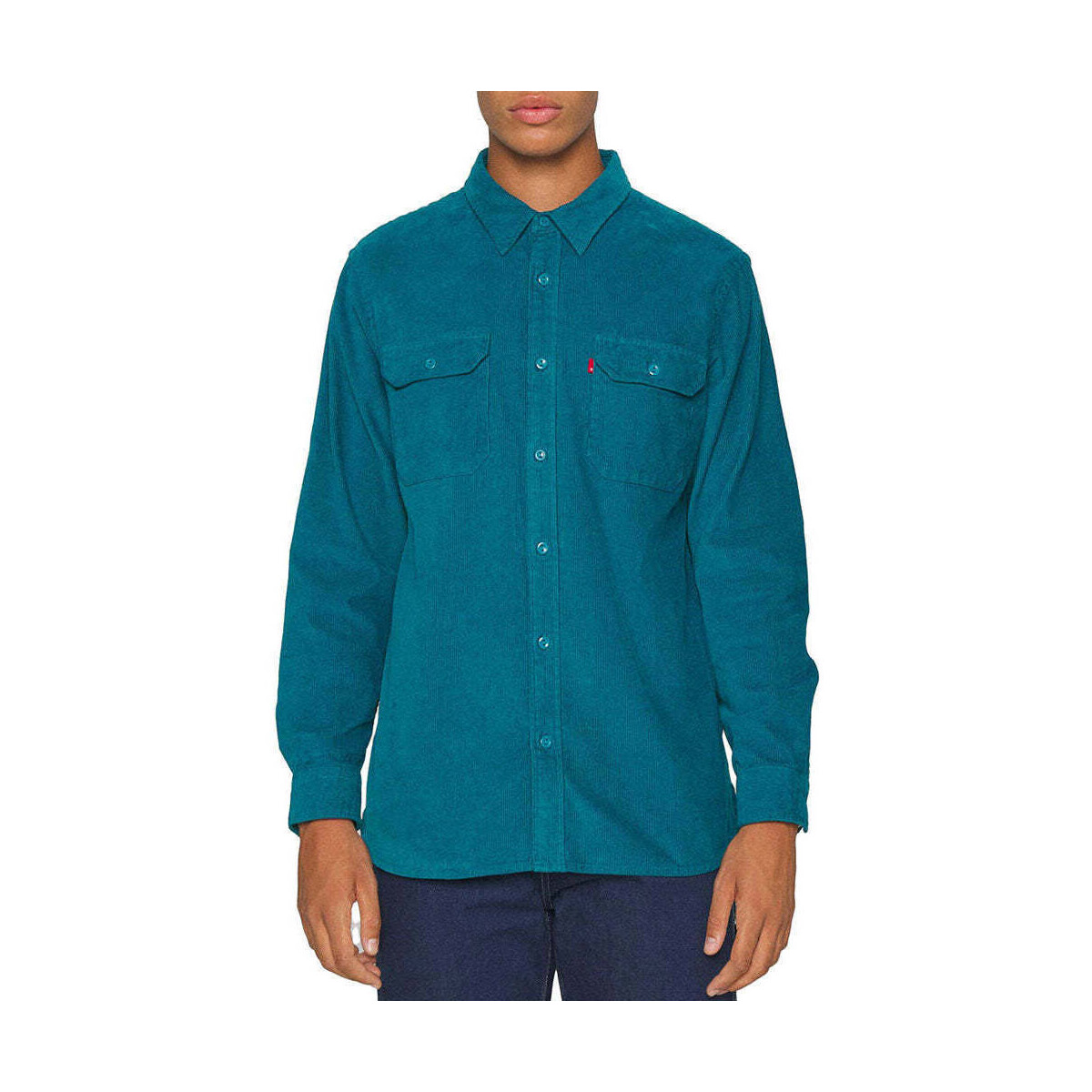 Textil Homem Camisas mangas comprida Levi's 19573-0192-3-1 Azul