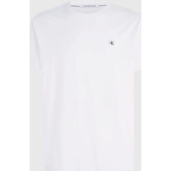 Textil Homem T-Shirt mangas curtas Calvin Klein linear JEANS J30J325268 Branco