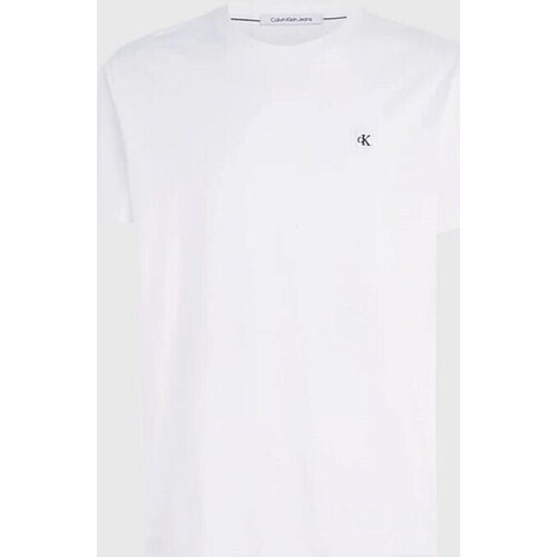 Textil Homem T-Shirt mangas curtas Calvin Klein T-shirt Stacked Logo J30J325268YAF Branco
