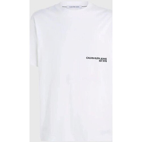 Textil Homem T-Shirt mangas curtas Calvin Klein Jeans J30J324652YAF Branco