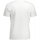 Textil Homem T-Shirt mangas curtas Timberland TB0A2C6S Branco