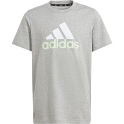 Textil Criança Polos mangas curta adidas Originals U BL 2 TEE Cinza