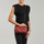 Malas Mulher Bolsa tiracolo Emporio Armani BORSA CLUTCH Y3C041 Vermelho