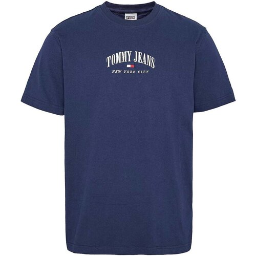 Textil Homem T-Shirt mangas curtas Tommy Hilfiger DM0DM15654 Azul
