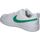 Sapatos Mulher Multi-desportos Nike DV5456-109 Branco