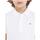 Textil Rapaz T-Shirt mangas curtas Tommy Hilfiger  Branco