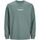 Textil Rapaz T-shirts e Pólos Jack & Jones 12253958 ESTERBRO-LAREL WREATH Verde