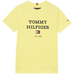 Textil Rapaz T-shirt mangas compridas Tommy Hilfiger KB0KB08671 Amarelo