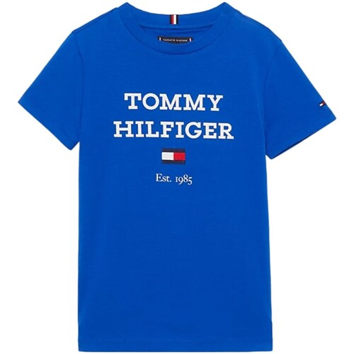 Textil Rapaz T-shirt mangas compridas Tommy Hilfiger KB0KB08671 Azul