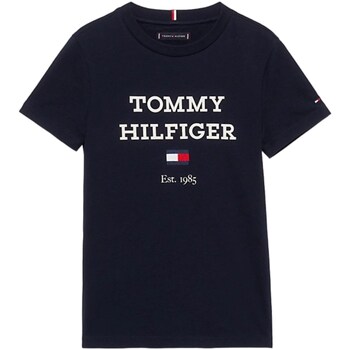 Textil Rapaz T-shirt Shirt mangas compridas Tommy Hilfiger KB0KB08671 Azul