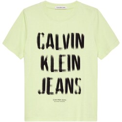 Textil Rapaz T-shirt mangas compridas KOSTUUM Calvin Klein Jeans IB0IB01974 Verde