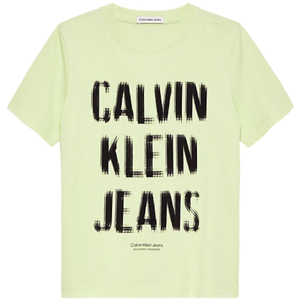 Textil Rapaz T-shirt mangas compridas Calvin Klein Jeans IB0IB01974 Verde