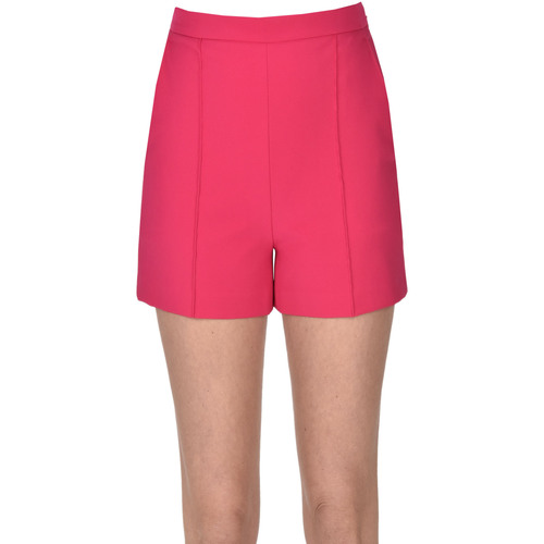 Textil Mulher Shorts / Bermudas Elisabetta Franchi PNH00003010AE Violeta