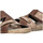 Sapatos Homem Sandálias Arizona 69418 Castanho