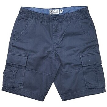 Textil Homem Shorts / Bermudas Champion 209691 Cinza