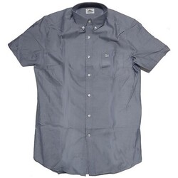 Textil Homem Camisas mangas curtas Lacoste CH0187 Cinza