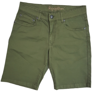 Textil Homem Shorts / Bermudas Refrigiwear MADISON Verde