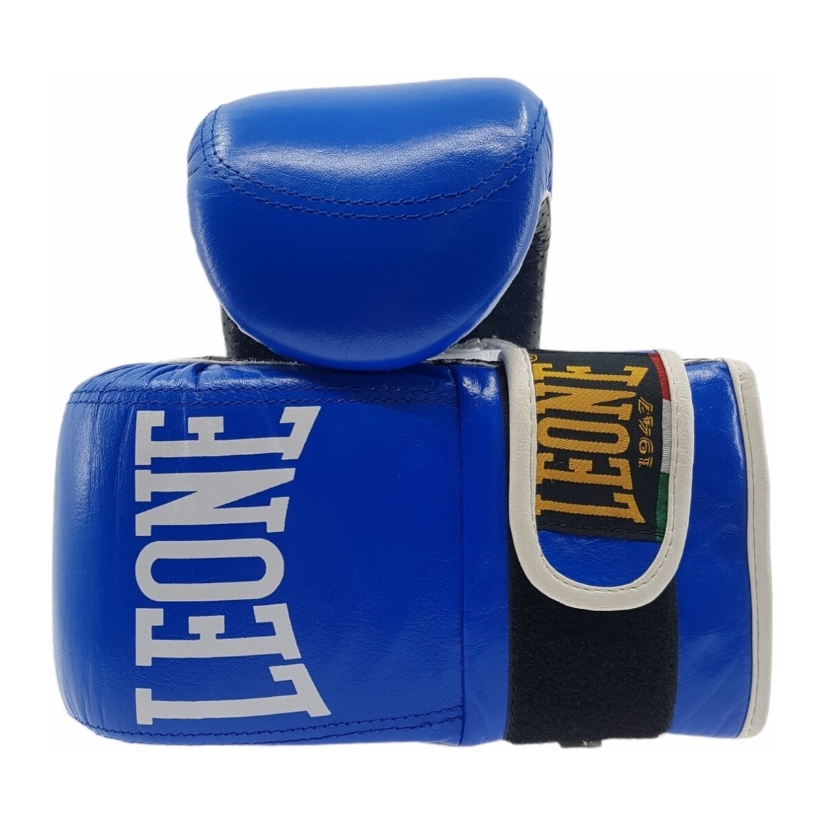Acessórios Acessórios de desporto Leone GS081 Azul