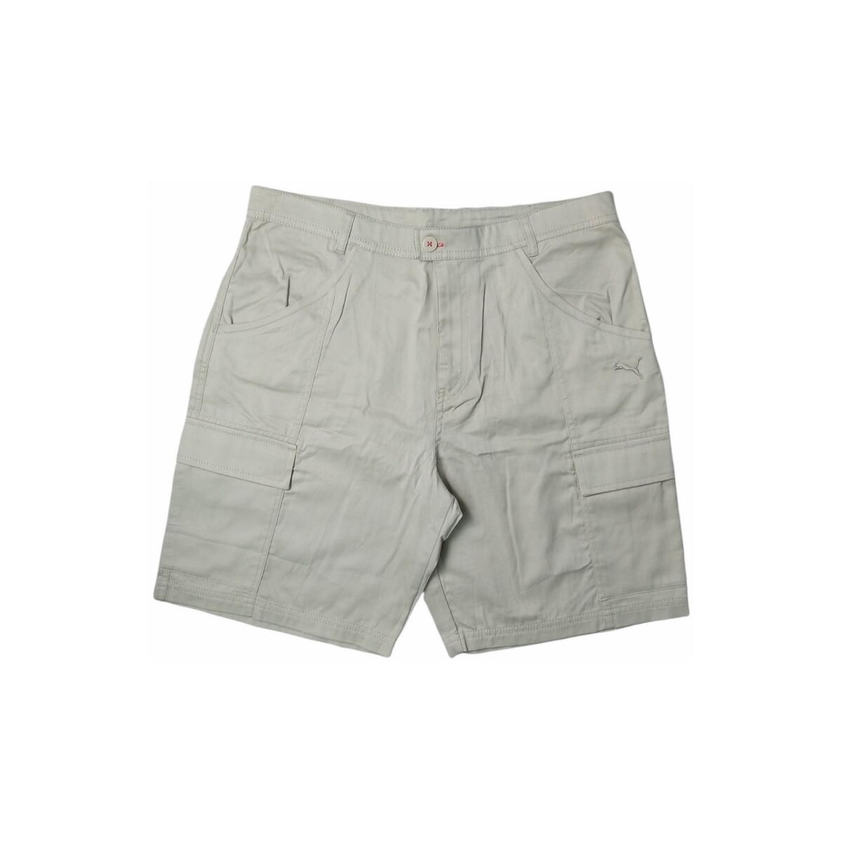 Textil Rapaz Shorts / Bermudas Puma 551132 Bege