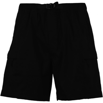 Textil Homem Shorts / Bermudas The North Face NF0A55V8 Preto