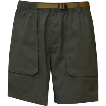 Textil Homem Shorts / Bermudas The North Face NF0A81WZ Verde