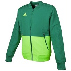 Textil Homem Jaquetas adidas jersey Originals CF4311 Verde
