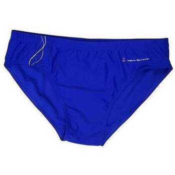 Textil Homem Fatos e shorts de banho Aqua Sphere SM110 Azul