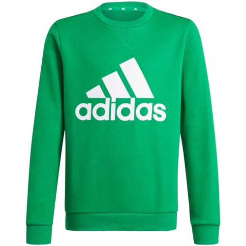 Textil Rapaz Sweats adidas Originals GN4030 Verde