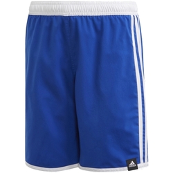 Textil Rapaz Fatos e shorts de banho adidas Originals GE2044 Azul