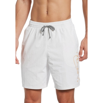 Textil Homem Fatos e shorts de banho Nike cut NESSB639 Branco