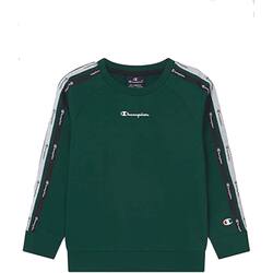 Textil Homem Sweats Champion 216560 Verde
