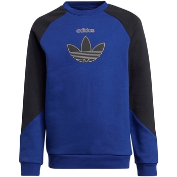 Textil Rapaz Sweats adidas Originals H31210 Azul
