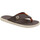 Sapatos Homem Chinelos Cartago 11358 Castanho