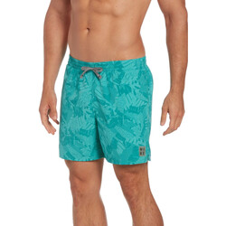Teclassic Homem Fatos e shorts de banho Nike NESSC462 Verde
