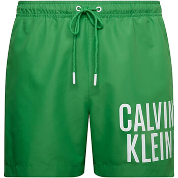 Textil Homem Fatos e shorts de banho Calvin Klein JEANS Durant KM0KM00794 Verde