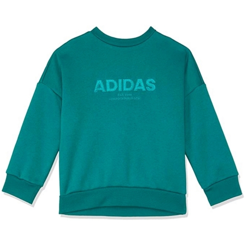 Textil Rapaz Sweats adidas Originals DJ1768 Verde