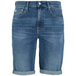 Textil Homem Shorts / Bermudas Calvin Klein Jeans J30J324874-1A4-25-43 Outros