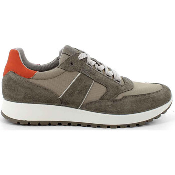 Sapatos Homem Sapatos & Richelieu Imac 552340 Verde