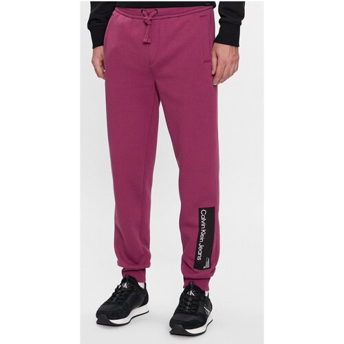 Textil Homem Shorts a vita alta con ricamo Blu Calvin Klein Jeans J30J324053 Violeta