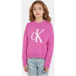 Textil Criança T-shirts e Pólos Calvin Klein Jeans IG0IG02220 Violeta