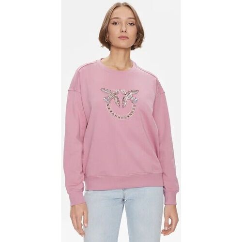 Textil Mulher Sweats Pinko NELLY 100534 A1R8-N98 Rosa