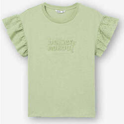 Textil Rapariga T-shirts e Pólos Tiffosi 10054015-882-4-75 Verde