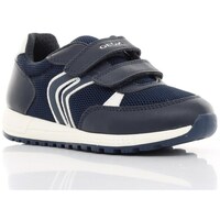 Sapatos Criança Sapatilhas Geox Alben Marinho