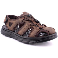 Sapatos Homem Sandálias Bebracci M Sandals Comfort Castanho