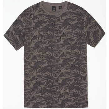 Textil Homem T-shirts e Pólos Franklin & Marsh T-shirt VEZIR Cinza