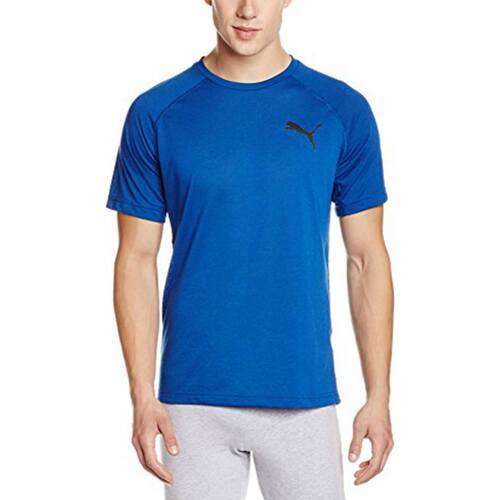 Textil Homem T-Shirt mangas curtas Puma 513863 Azul
