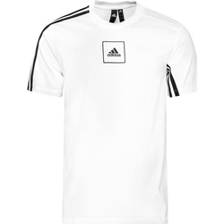 Textil Homem T-Shirt mangas curtas adidas Originals FL3605 Branco