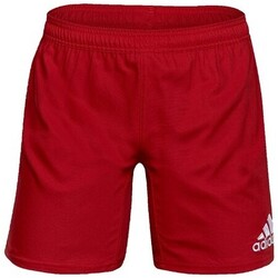 Textil Homem Shorts / Bermudas adidas Originals A96674 Vermelho