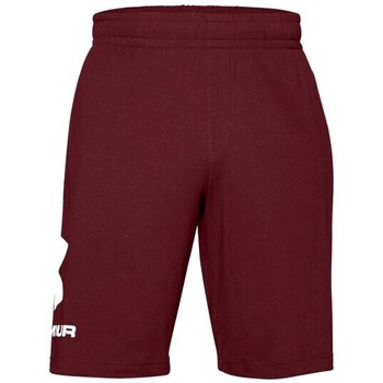 Textil Homem Shorts / Bermudas Under menina Armour 1329300 Bordô